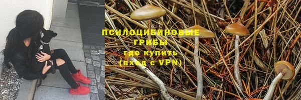 скорость Аркадак