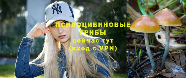 скорость Аркадак