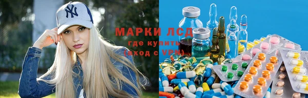 мдпв Арсеньев